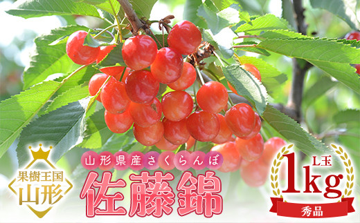 
            【令和7年産 先行予約】山形県産さくらんぼ 佐藤錦 秀品 L玉 1kg (500g×2パック) 化粧箱入り FSY-1092
          