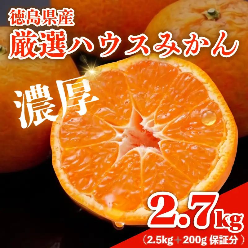 みかん ハウスみかん 2.7kg 傷み補償付き200g みかん 柑橘 フルーツ 果物 みかん ミカン みかん 蜜柑 オレンジ 徳島県 阿南市