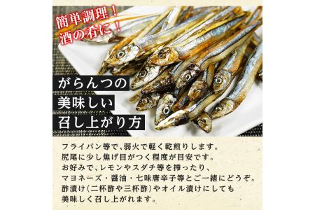 鹿児島県阿久根市産干物セット(6種) 国産 九州産 鹿児島県産 新鮮 鮮度 魚 魚介類 乾物 ひもの おつまみ おかず お弁当 珍味 一夜干し きびなご あじ いか あおさ【マルフク川畑水産】a-12