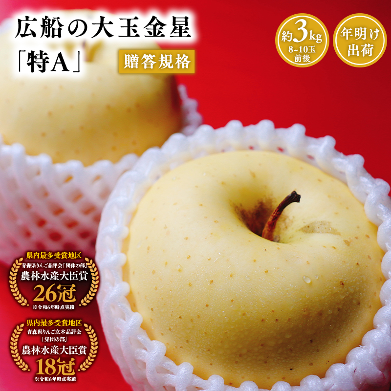 年明け 贈答規格 広船の大玉金星約3kg「特A」【広船アップルクラブ　平川市広船産　青森りんご　1月　2月】1月30日申込締め切り
