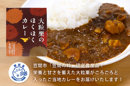 大粒栗のほくほく カレー 4箱 栗 AQ-016