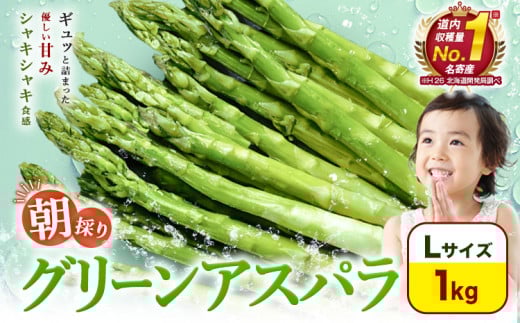 【先行予約】朝採りアスパラガス Lサイズ(1kg) 《2025年5月中旬-6月下旬頃出荷予定》北海道 名寄市 送料無料 朝採り 新鮮 アスパラ