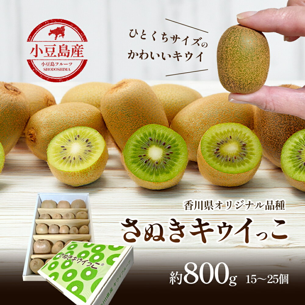 【ふるさと納税】小豆島さぬきキウイっこ 約800g　お届け：2026年11月上旬～2026年12月下旬