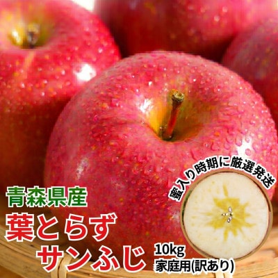 11-12月 蜜入り時期に厳選発送! 青森県産 りんご 訳あり 葉とらずサンふじ 家庭用 約10kg【配送不可地域：沖縄県】