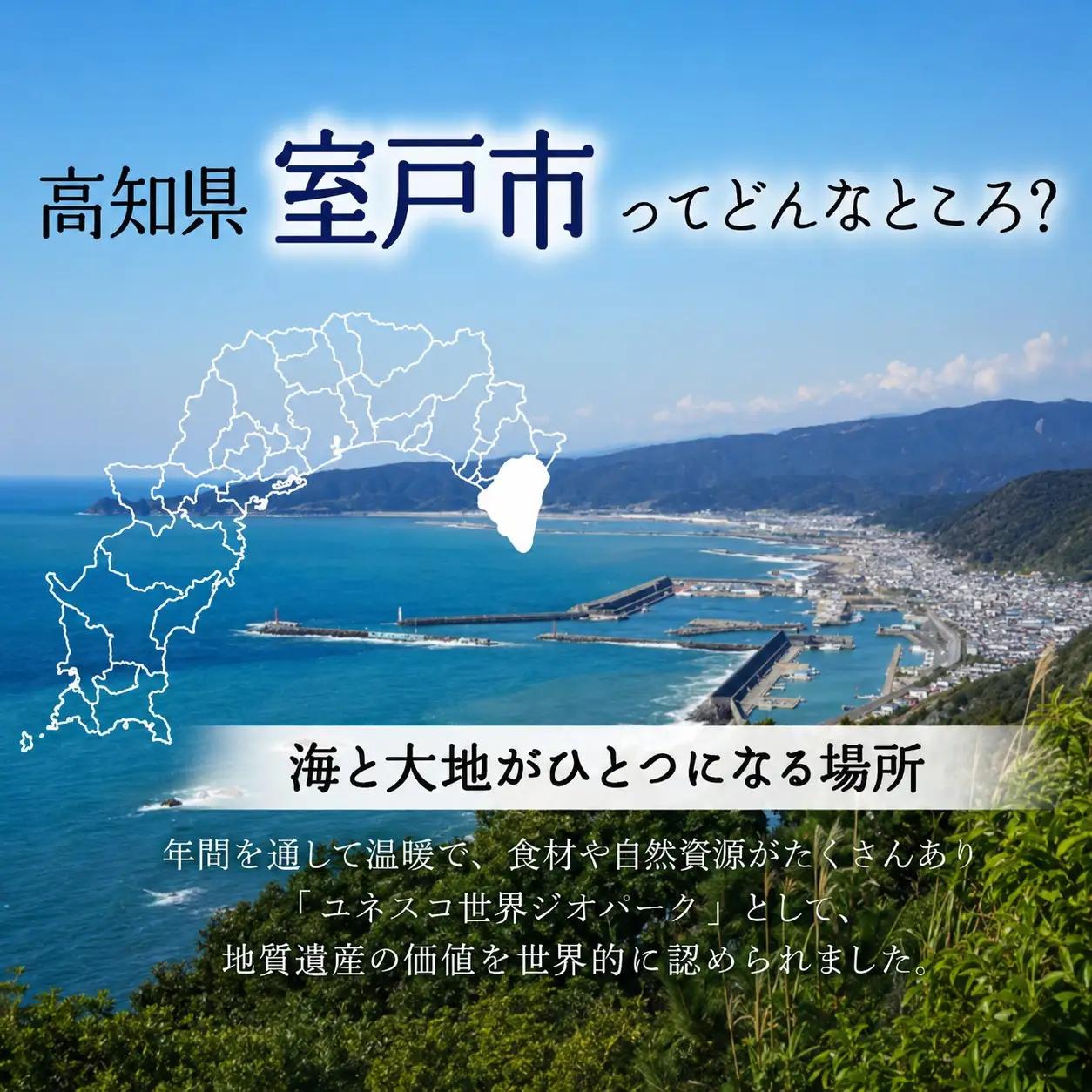 家庭用ポンカン高知県産 ポンカン 5kg