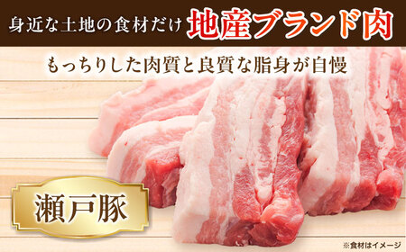 【全12回定期便】燻しソーセージ 12本 / 燻製 豚肉 スモーク おつまみ / 瀬戸市 / 天佑[BBBZ025]