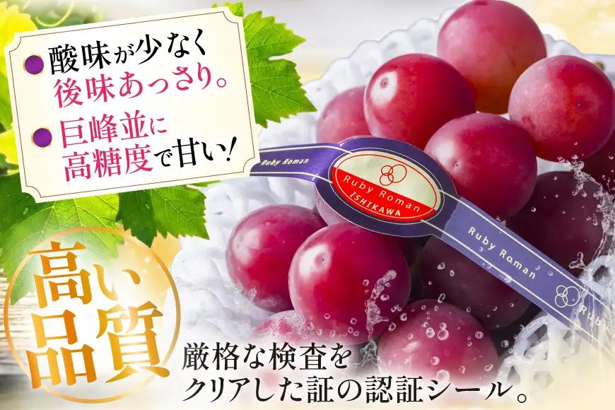 【期間限定発送】 超高級 ぶどう ルビーロマン 1房 約600g 化粧箱入
