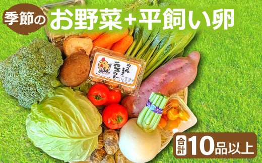 
新鮮！季節のお野菜と平飼い卵のセット（10～12品）【野菜 10～12品以上 季節の野菜 旬 新鮮 取れたて お楽しみ 卵 たまご 平飼い卵 10個 破損保証 4個 詰め合わせ セット 冷蔵】
