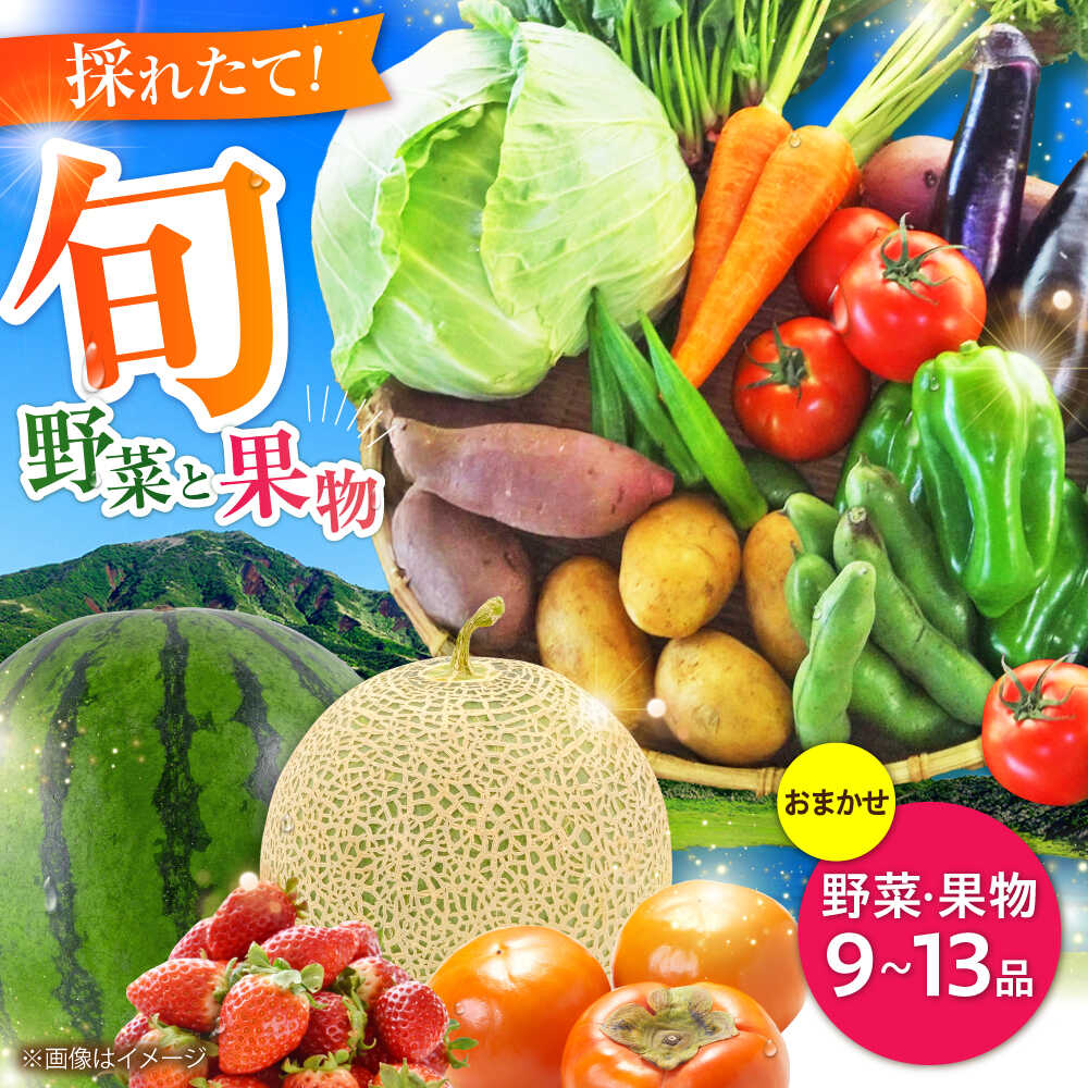 【ふるさと納税】【数量限定】菊陽町特産品 「野菜・果物などの詰め合わせ」 / 新鮮 詰合せ フルーツ セット 旬 おまかせ にんじん ごぼう 直売所 やさい くだもの 熊本県 特産品 菊陽町 【有限会社さんふれあ】[BHAK006]