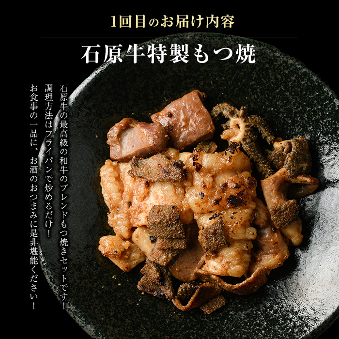＜定期便・毎月発送全3回＞ 石原牛の定期便【もつ食べ比べ編】 【石原PRO】_nagashima-1524