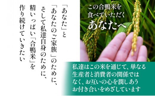 令和7年産 新米予約 合鴨米「ヒノヒカリ」（玄米・5kg）定期便6回コース 数量限定 ※令和7年10月スタートの定期便 BI04