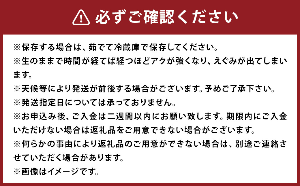 たけのこ 約3kg　ぬか・とうがらし付　