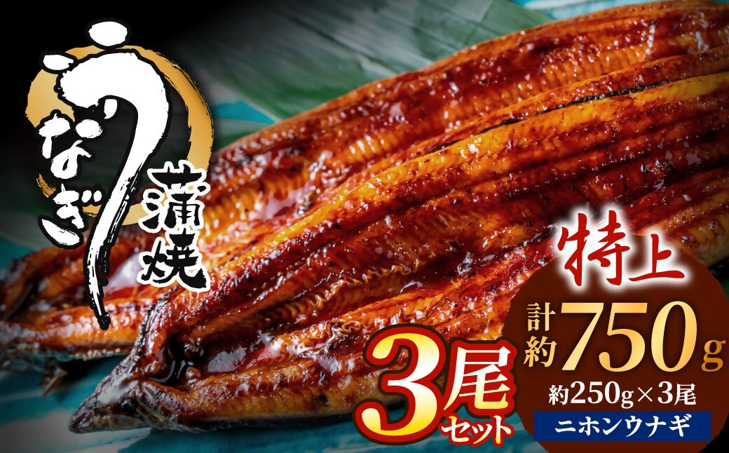 うなぎ蒲焼き3尾セット(約250g×3尾セット)【魚住商店】_HA1494