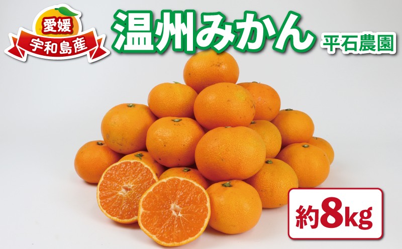 
                  愛媛みかん 温州みかん 7.5kg 家庭用 平石農園 みかん mikan 愛媛ミカン 愛媛蜜柑 温州 蜜柑 果物 くだもの フルーツ 柑橘 産地直送 農家直送 数量限定 国産 宇和島 B010-017008
                