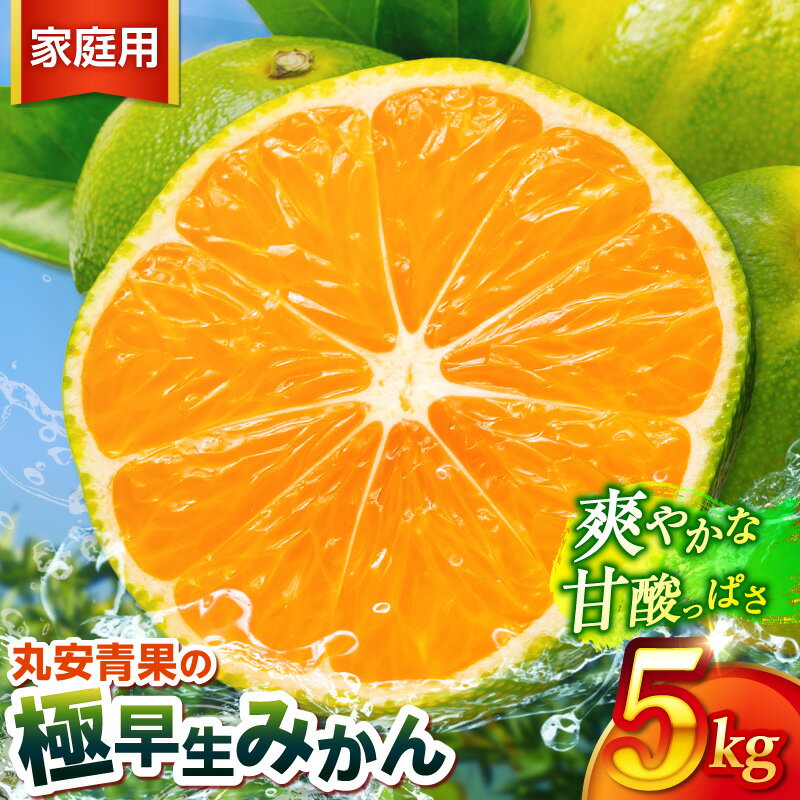 【ふるさと納税】丸安青果 訳あり 極早生みかん 5kg 家庭用 ｜ 果物 フルーツ 柑橘 みかん 極早生みかん 5kg 訳あり 家庭用