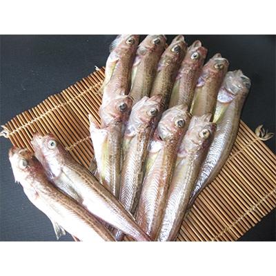 ふるさと納税 宮津市 ハタハタ(大)　干物　一夜干し　450g×2箱