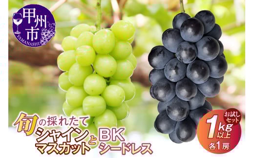 【クール配送】お試しセット！旬の採れたてシャインマスカット＆BKシードレス 1kg以上（各1房）【2026年発送】（HO）B-1411