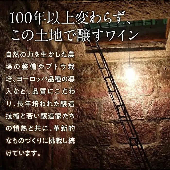 ルミエール ～ワイン定期便ハーフコース～ 063-006