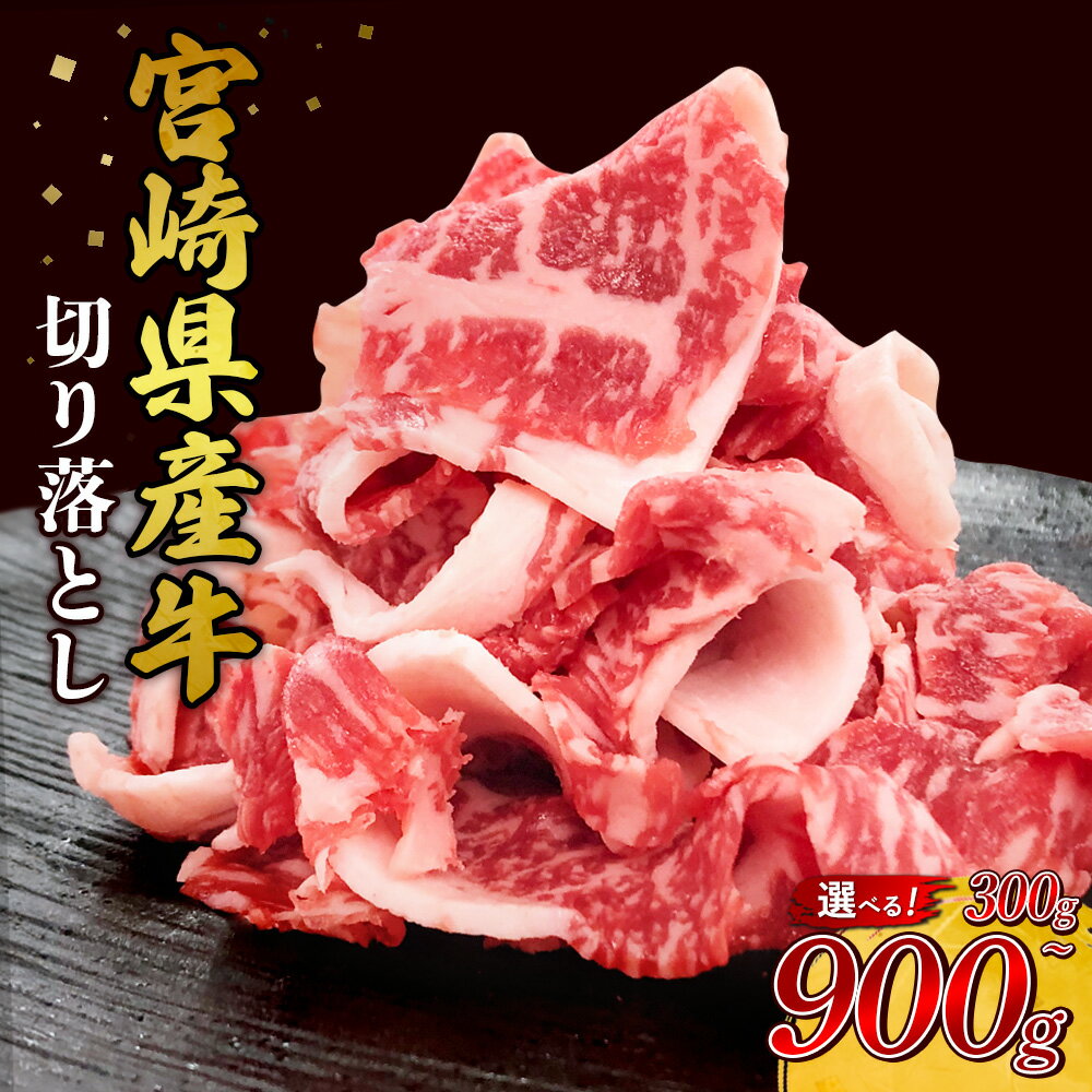 【ふるさと納税】【容量 選べる】宮崎県産 黒牛 切り落とし 300g 600g 900g 赤身 牛肉 切り落とし 肉 お肉 牛 国産牛 小分け 真空パック コスパ 冷凍 贈答 ギフト 人気 国産 えびの市 送料無料