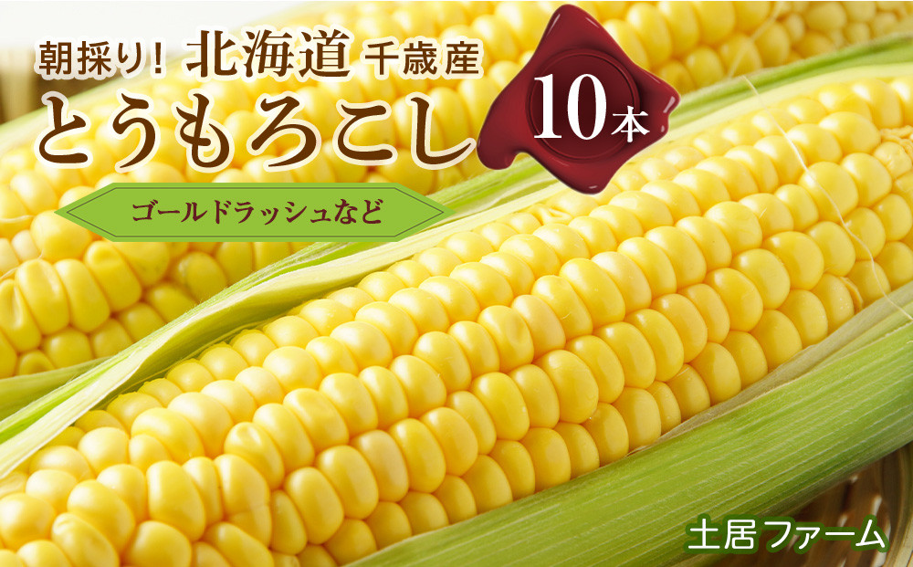 
2024年夏発送 とうもろこし 10本セット【土居ファーム】
