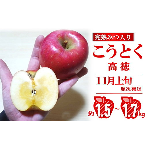 【令和8年産先行予約】 完熟みつ入り こうとく(高徳) 約1.5～1.7kg (6～9玉) 《令和8年11月上旬～発送》 【全国りんご選手権 銀賞】 『船中農園』フードパック 林檎 りんご リンゴ 山形県 南陽市 [2666]