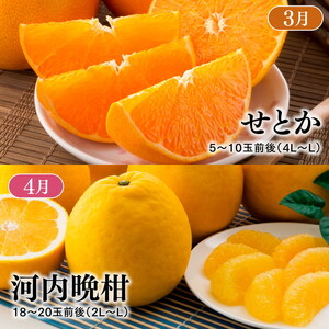 【定期便】【愛媛県共通返礼品】愛媛のかんきつ定期便（全6回）（日の丸みかん・紅まどんな・伊予柑・不知火・せとか・河内晩柑) ｜ みかん 蜜柑 日の丸みかん 紅まどんな 伊予柑 不知火 デコポン せとか