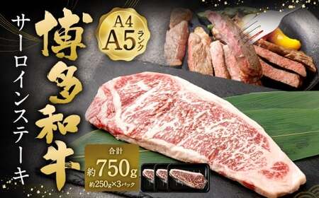【A4 ・ A5】 博多和牛 サーロインステーキ 約750g （約250g × 3P） ／ 肉 お肉 おにく 牛肉 和牛 牛 うし 黒毛和牛 国産牛 国産黒毛和牛 国産 サーロイン ステーキ A5等級 A4等級 福岡県産 福岡県 岡垣町 冷凍 