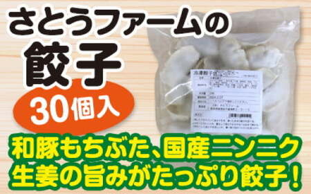 冷凍もちぶた餃子 30個入 × 2袋  絶品餃子 冷凍餃子 もちぶた餃子 簡単餃子 餃子 餃子 I70 