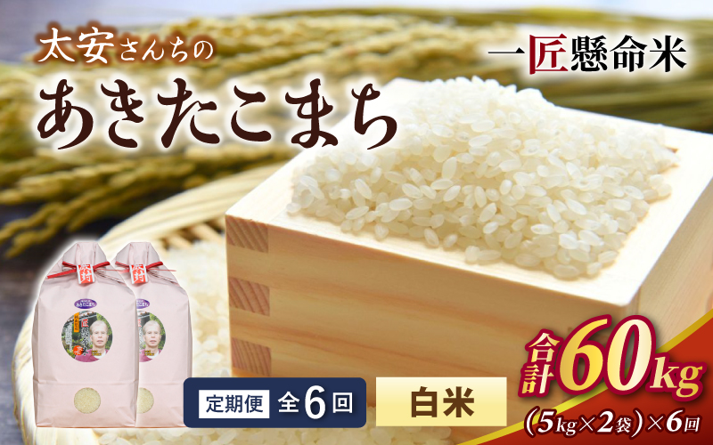 ＜定期便 全6回＞ 令和8年産米 真庭市産 太安さんちのあきたこまち 白米 10kg（5kg×2袋）×6回 / お米 国産 岡山県 人気 ブランド 2026年産 【tkns-tkb043】 10kg(