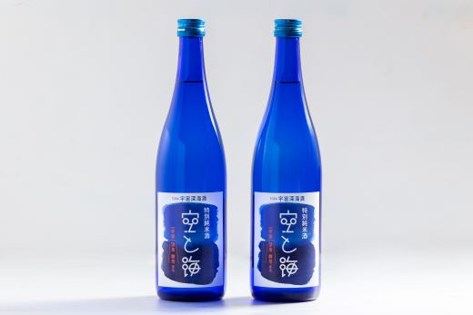 土佐宇宙深海酒 特別純米酒 空と海 720ml×2本 - 国産 高知県産 お酒 酒 おさけ セット 辛口 贈り物 ギフト 晩酌 自分用 アルコール 記念日 お酒好き お礼 お祝い 高知県 香南市 常温