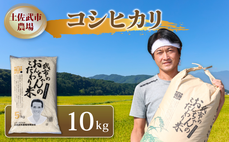 【先行予約】 新米 コシヒカリ 白米 10キロ 10㎏ 数量限定 米 コメ お米 精米 ご飯 おにぎり こめ ライス 令和8年度 農家直送 産地直送 ふるさと納税 高知県 南国市