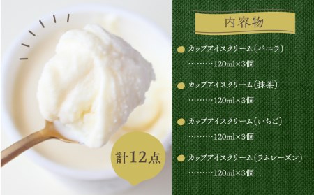 【牧成舎】ミルクの旨みたっぷり アイスクリーム 4種12個｜アイス