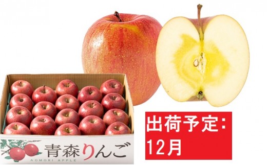 
                  12月 訳あり 家庭用 蜜入りサンふじ 約5kg【青森りんご・マルコウアップル】 果物類 林檎 リンゴ 
                