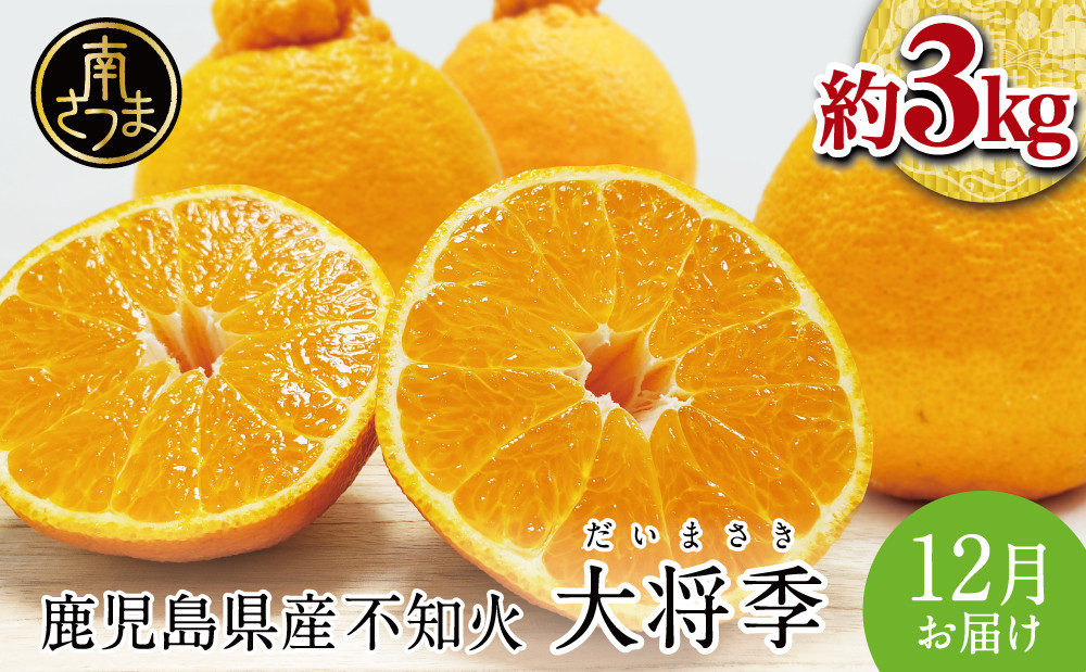 
            【12月発送】数量限定！ 鹿児島県産 不知火「大将季」（だいまさき）約3kg 果物 フルーツ 柑橘 みかん しらぬい ブランド 常温 JA 南さつま市
          