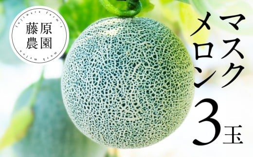 藤原農園　アールスメロン　3玉