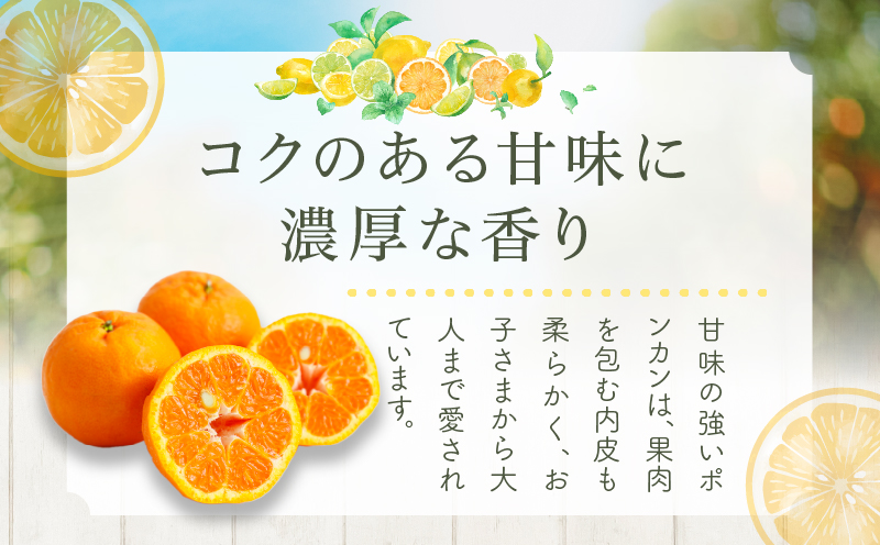 先行予約≪期間限定≫都農町産「ポンカン(Mサイズ)」 約5kg フルーツ 果物 柑橘 国産_T008-005