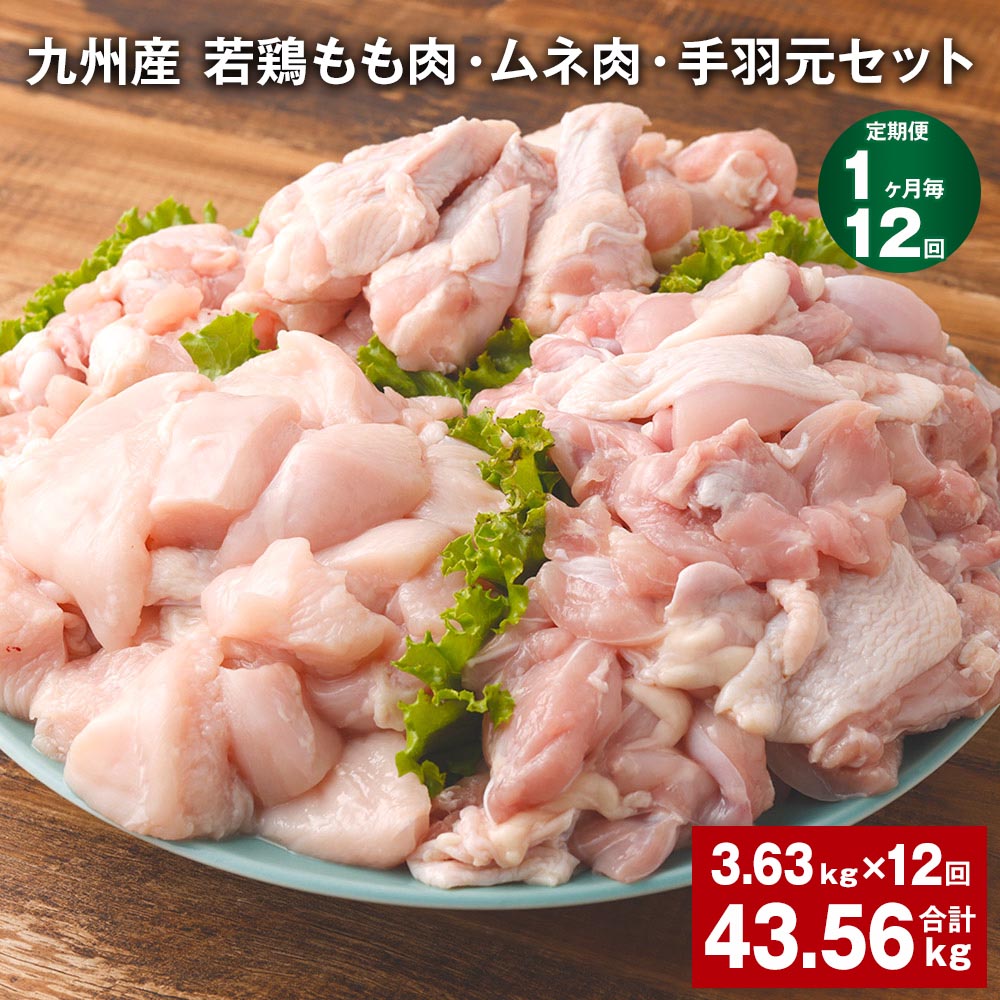 【ふるさと納税】【定期便】【1ヶ月毎12回】九州産 若鶏もも肉・ムネ肉・手羽元セット 計43.56kg（3.63kg×12回）鶏肉 肉 鶏 手羽 手羽元 唐揚げ 詰め合わせ セット 冷凍 九州 国産 熊本県 菊池市 送料無料《お申し込みの翌月から出荷》