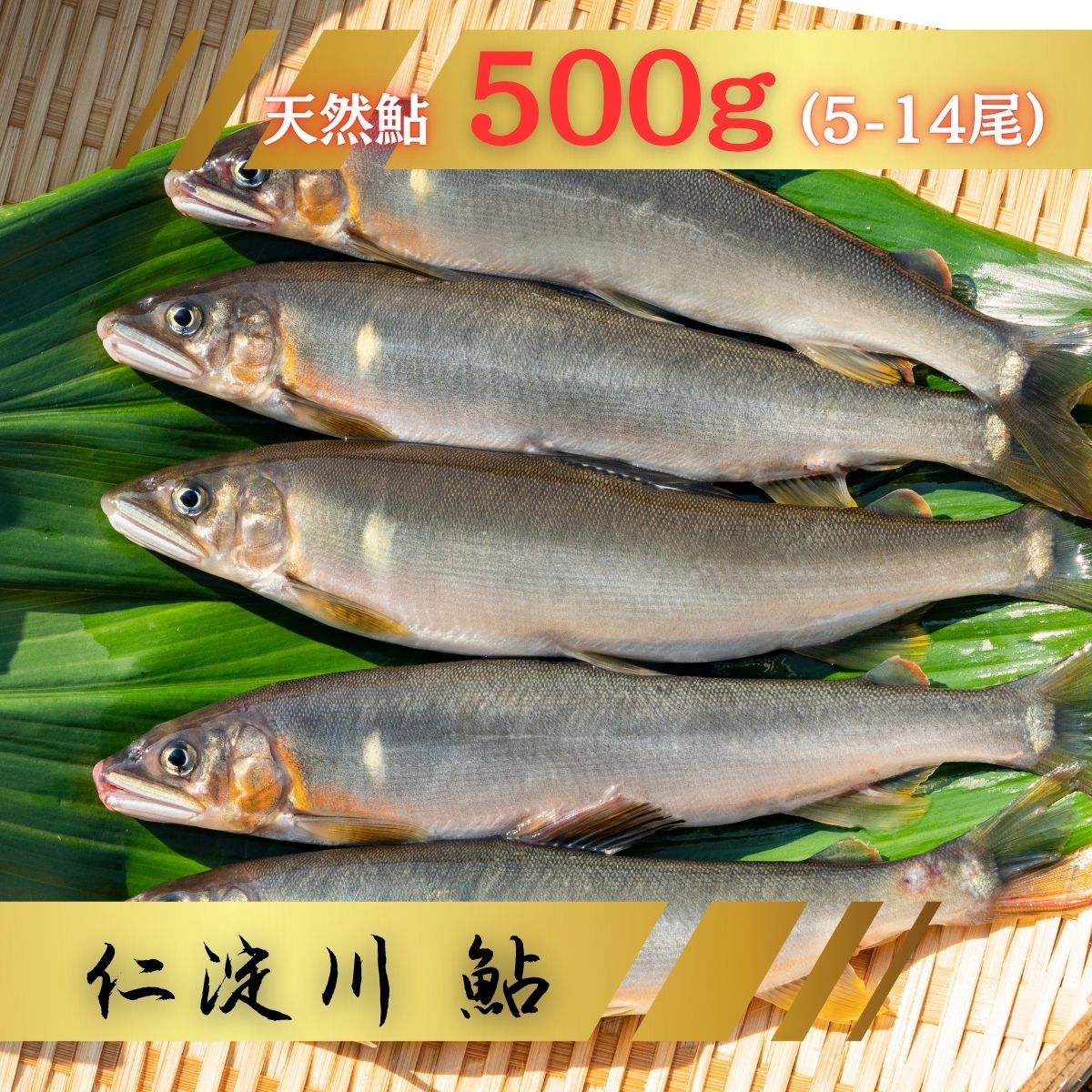 0232401【ふるさと納税】鮎 あゆ 天然鮎 仁淀川町 高知県 鮎屋 仁淀川の仁淀ブルー友釣あゆ500g（5-14尾）
