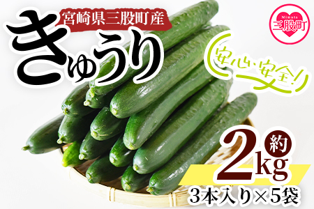 ＜【先行予約】【期間限定】宮崎県産きゅうり(約2kg)＞(約2kg・3本入り×5袋)【MI149-yt】【ゆたか農園】
