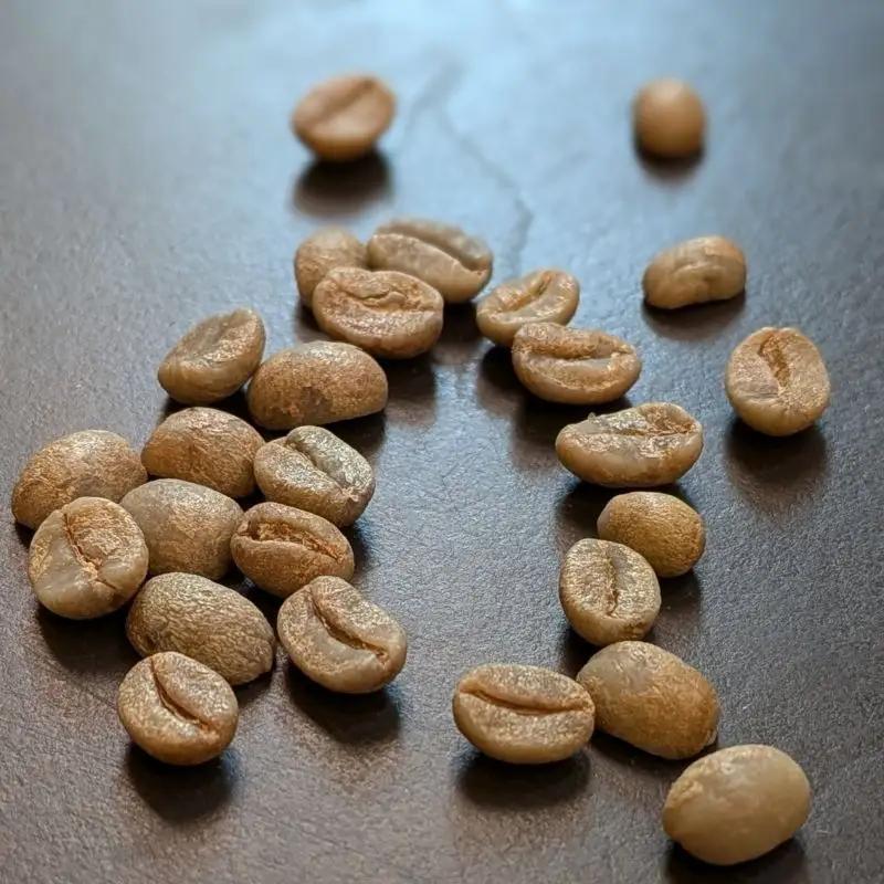 ASIA×BEANS!アジアの旅コーヒー・焼菓子ギフト（タイ編）豆の挽き方：中挽き【hisa0003】