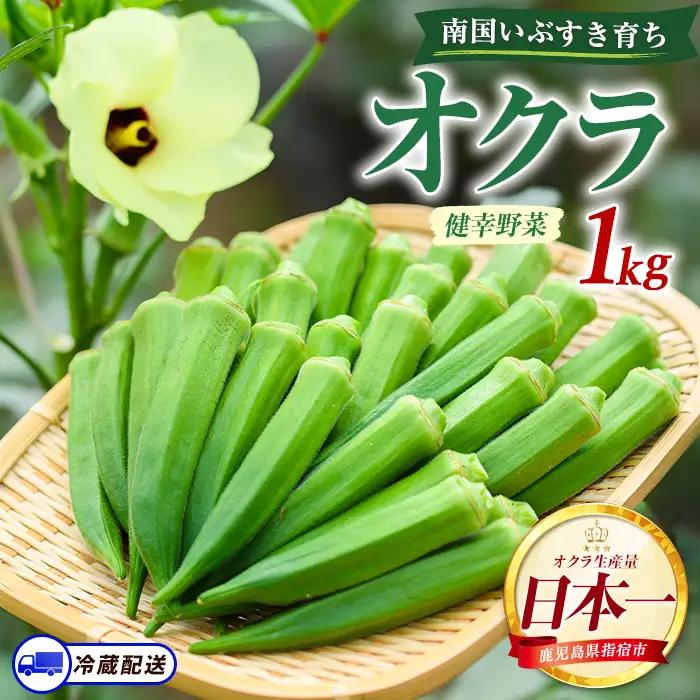 指宿 いぶすき産オクラ1kg オネファーム IB130-004 オクラ オクラ