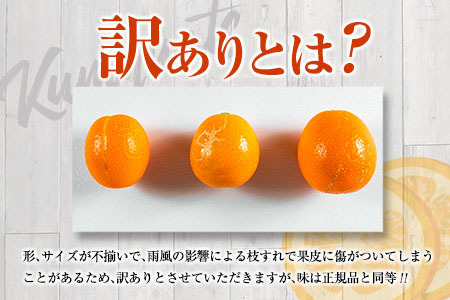 先行予約 訳あり 完熟 きんかん 宮崎王丸 計3kg以上 傷み補償分付き 数量限定 期間限定 フルーツ 果物 くだもの 柑橘 金柑 訳アリ おすすめ おすそ分け ご家庭用 ご自宅用 お取り寄せ 国産 