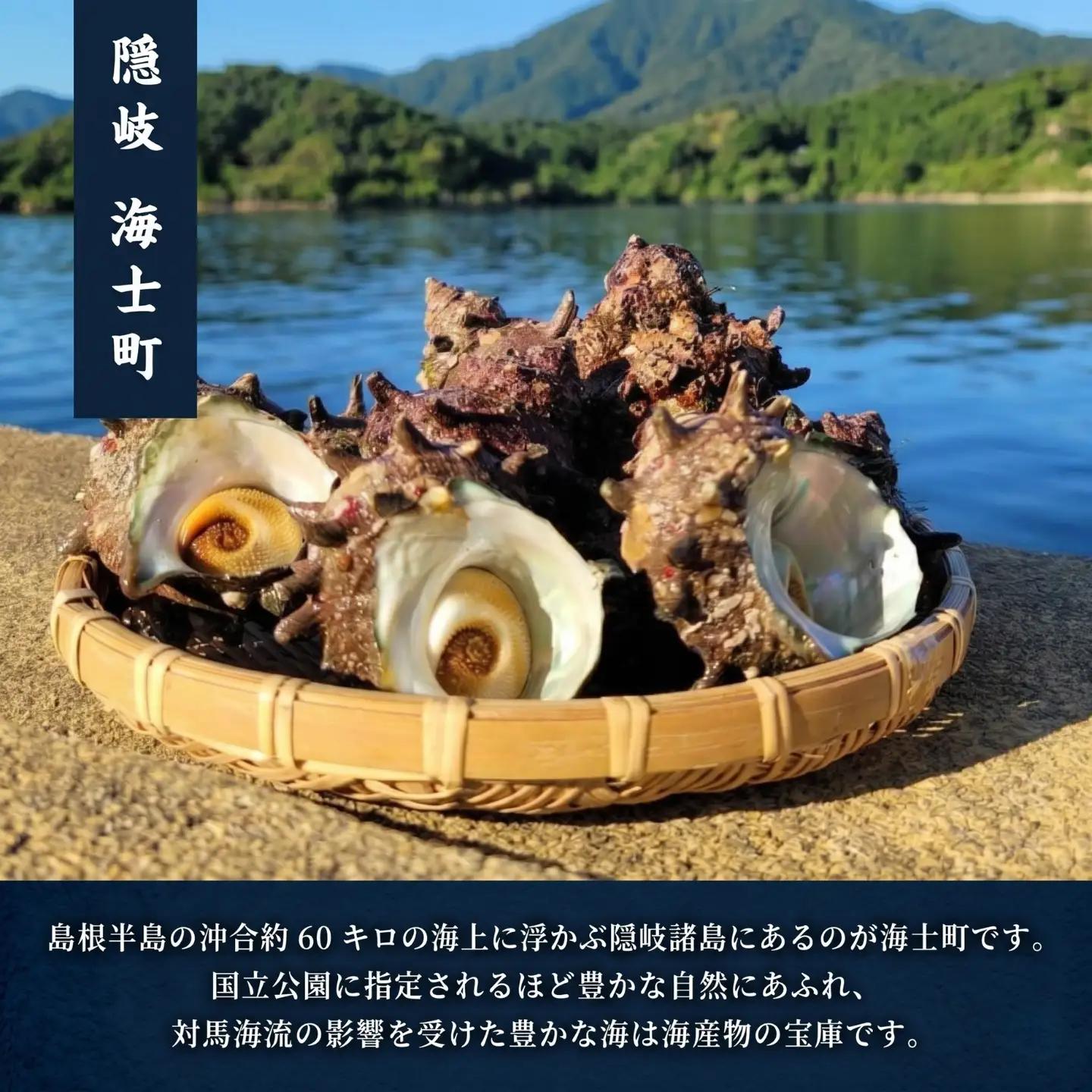 サザエ 6個 エスカルゴバター風 サザエ