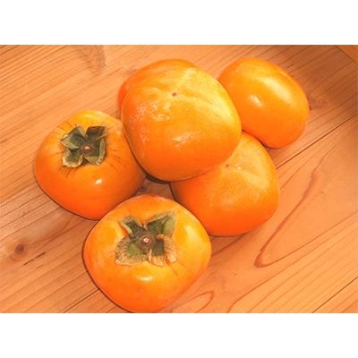 ふるさと納税 天理市 【R8年10月以降発送】刀根早生柿発祥の地・天理市のひらたねなし柿(L〜3Lサイズ、28〜36個) |  | 01