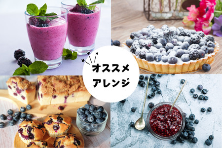 【期間限定】粒ぞろいのブルーベリー　600g