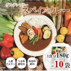 スパイスカレー　レトルト　180g×10袋【1534743】