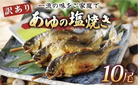 訳あり鮎の塩焼き 10尾入 滋賀県産 あゆの塩焼き