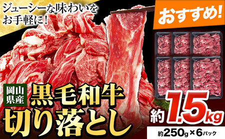 牛肉 肉 黒毛和牛 切り落とし 訳あり 大容量 小分け 1.5kg 1パック 250g 《30日以内に出荷予定(土日祝除く)》岡山県産 岡山県 笠岡市 お肉 にく カレー 牛丼 牛肉 切り落し 小分け 切落し 牛肉 小分け 牛肉