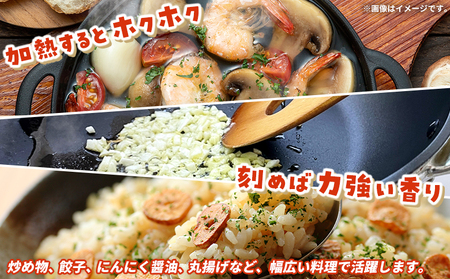 【先行予約】＜生にんにく サイズ混合 約1kg＞ 国産 ニンニク 生 野菜 香味野菜 薬味 大蒜 ガーリック 1キロ 西予市産 旬 旬の野菜 生ニンニク 農産物 おすそ分け 自宅用 家庭用 ノムランド
