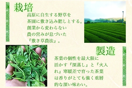 吉無田高原あさのやぶ茶セット(100g×5本入り) お茶乃のぐち《30日以内に出荷予定(土日祝除く)》